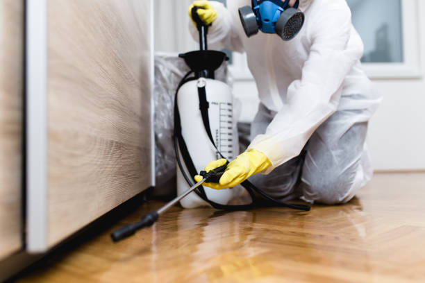 Pest Control for Restaurants in East Bangor, PA