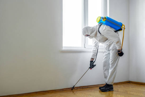 Best Local Pest Control Services  in East Bangor, PA